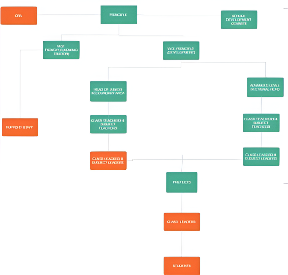 Management Structure